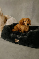 The Lola Pet Bed | Charcoal Grey