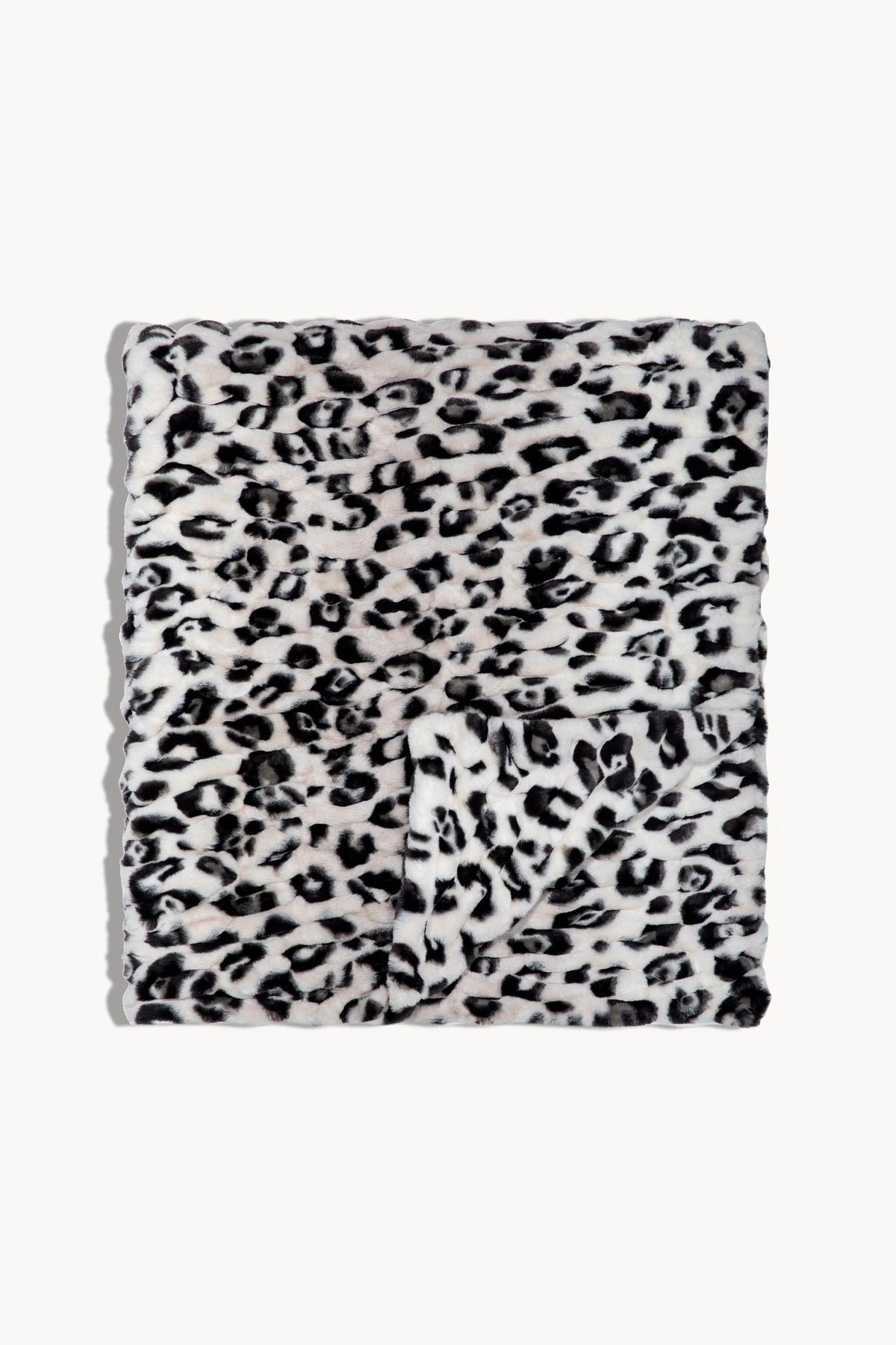 Snow Leopard